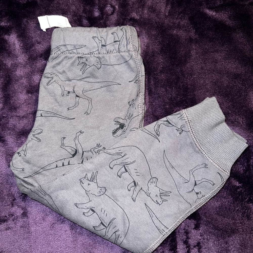 2T Dino Sweats